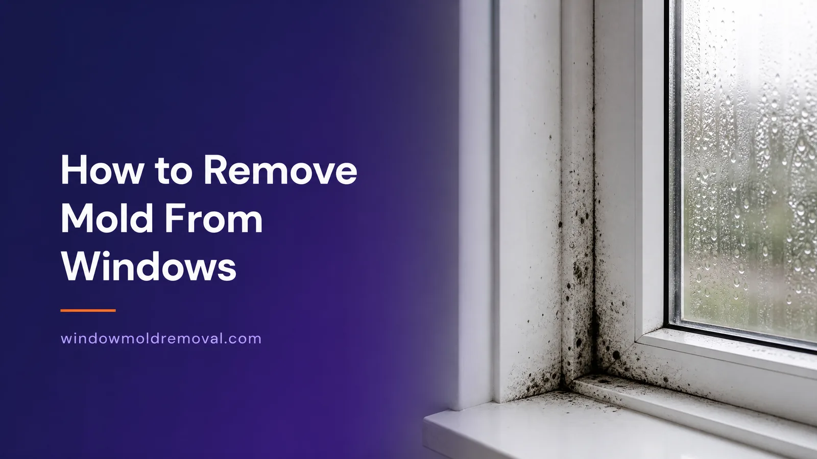 Black mold on a window frame and sill with condensation on the glass